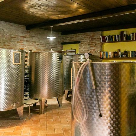 Ca Trifolera Barbaresco - Romantico Cascinale Con Antica Cantina Nel Cuore Delle Langhe - Degustazione Vini Nella Nostra Cantina Ngoại thất bức ảnh
