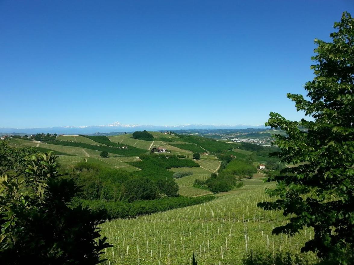 Ca Trifolera Barbaresco - Romantico Cascinale Con Antica Cantina Nel Cuore Delle Langhe - Degustazione Vini Nella Nostra Cantina Ngoại thất bức ảnh