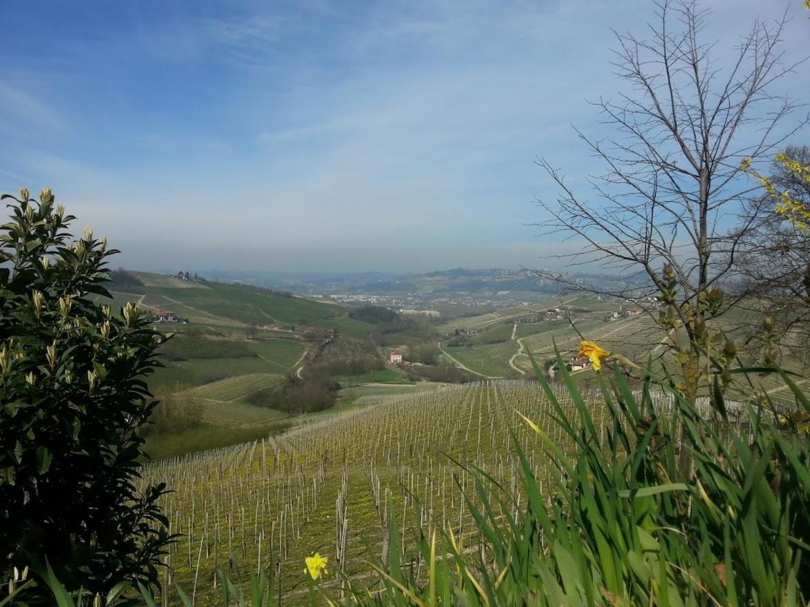Ca Trifolera Barbaresco - Romantico Cascinale Con Antica Cantina Nel Cuore Delle Langhe - Degustazione Vini Nella Nostra Cantina Ngoại thất bức ảnh