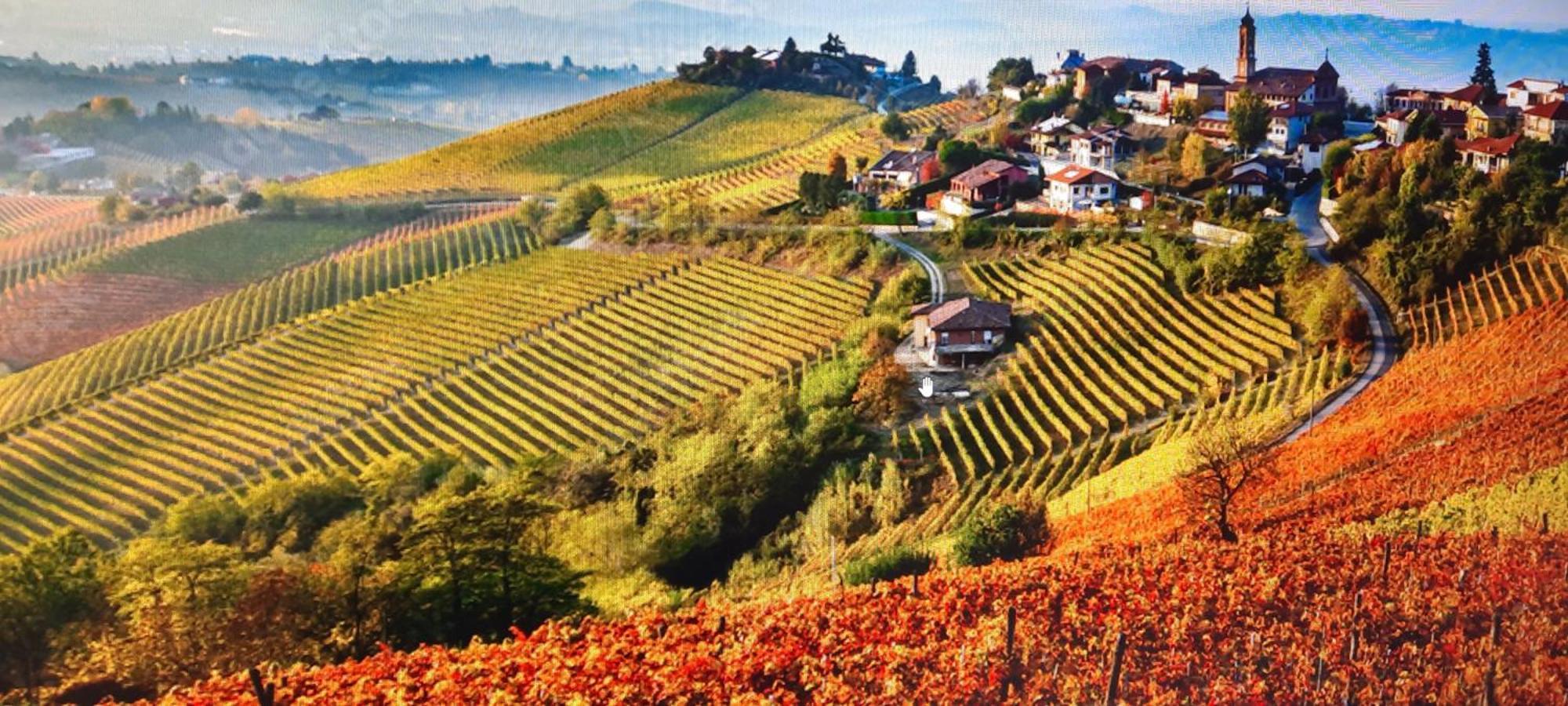 Ca Trifolera Barbaresco - Romantico Cascinale Con Antica Cantina Nel Cuore Delle Langhe - Degustazione Vini Nella Nostra Cantina Ngoại thất bức ảnh