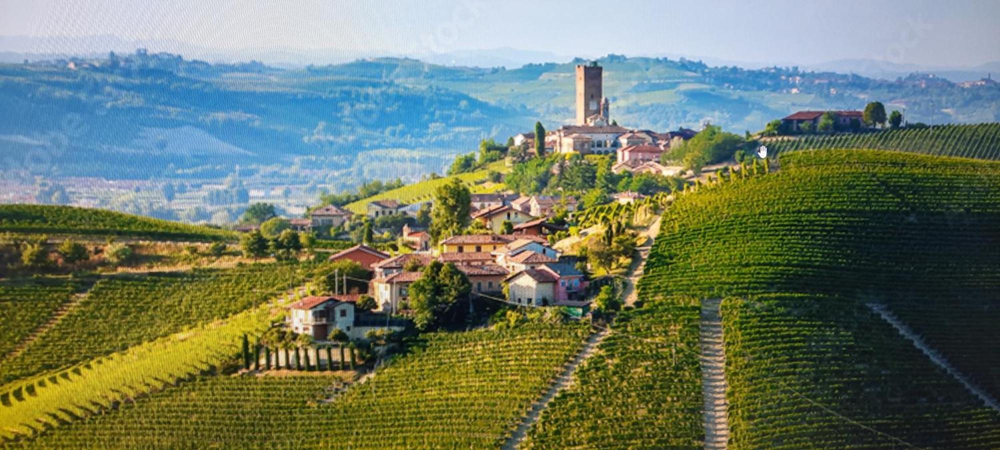 Ca Trifolera Barbaresco - Romantico Cascinale Con Antica Cantina Nel Cuore Delle Langhe - Degustazione Vini Nella Nostra Cantina Ngoại thất bức ảnh