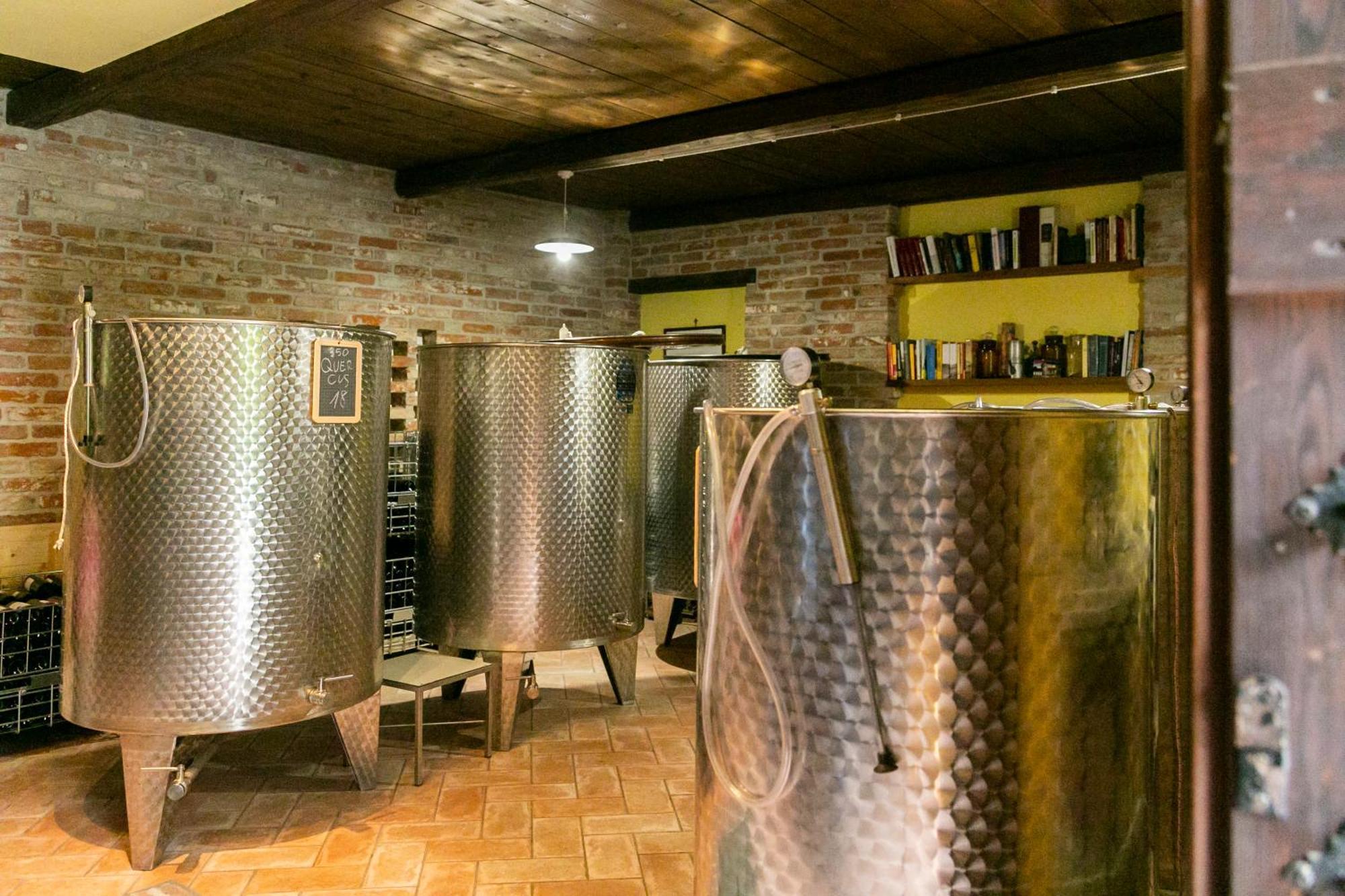 Ca Trifolera Barbaresco - Romantico Cascinale Con Antica Cantina Nel Cuore Delle Langhe - Degustazione Vini Nella Nostra Cantina Ngoại thất bức ảnh
