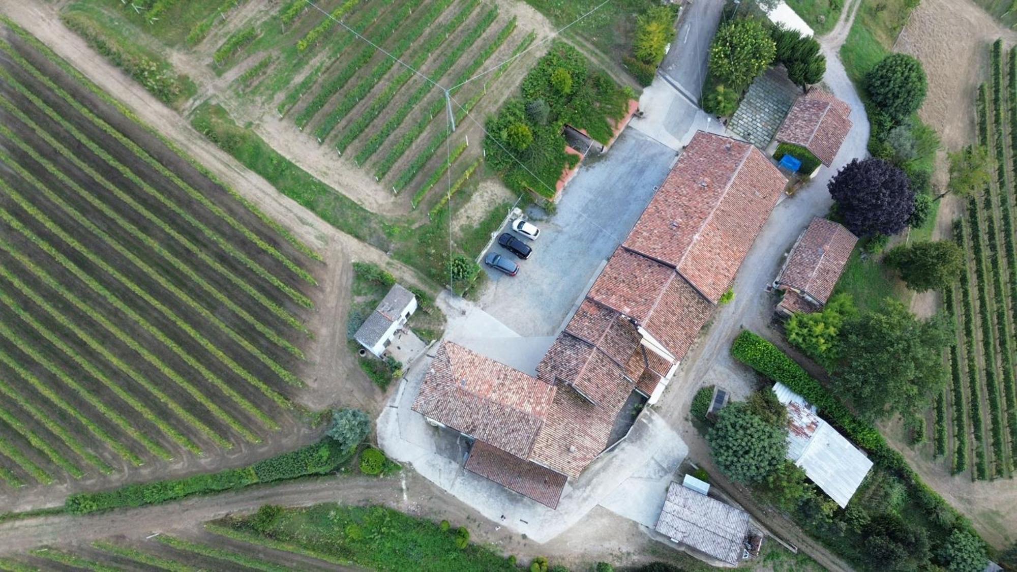 Ca Trifolera Barbaresco - Romantico Cascinale Con Antica Cantina Nel Cuore Delle Langhe - Degustazione Vini Nella Nostra Cantina Ngoại thất bức ảnh