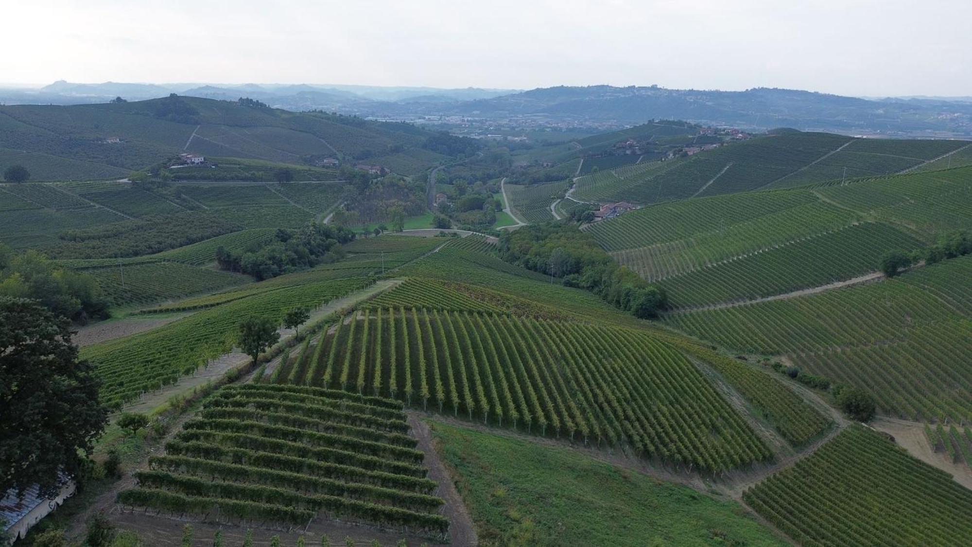 Ca Trifolera Barbaresco - Romantico Cascinale Con Antica Cantina Nel Cuore Delle Langhe - Degustazione Vini Nella Nostra Cantina Ngoại thất bức ảnh